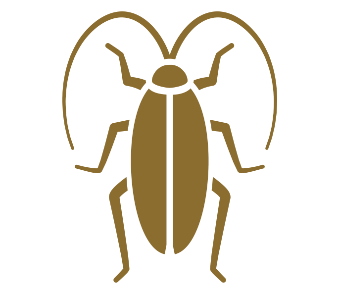Cockroach Control
