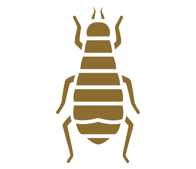 Flea Control