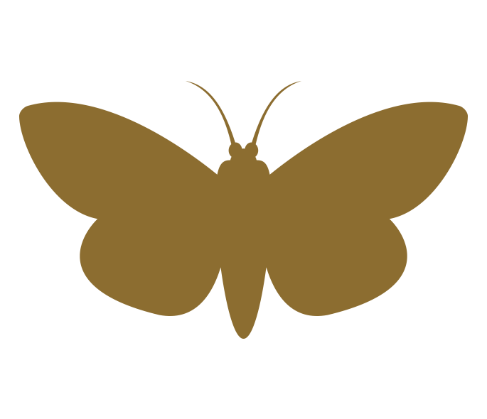 Moth Control