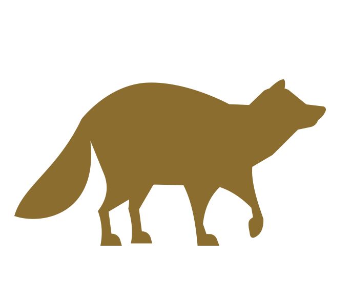 Raccoon Control