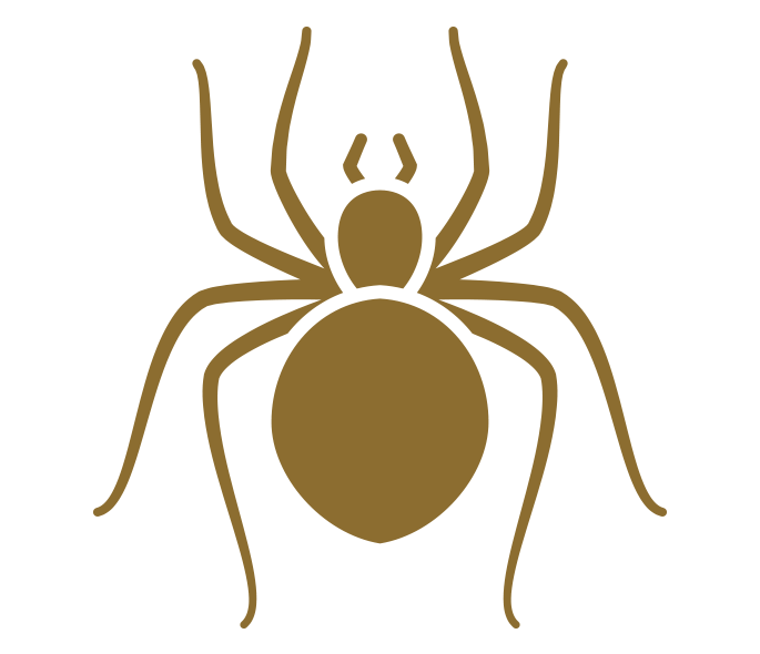 Spider Control