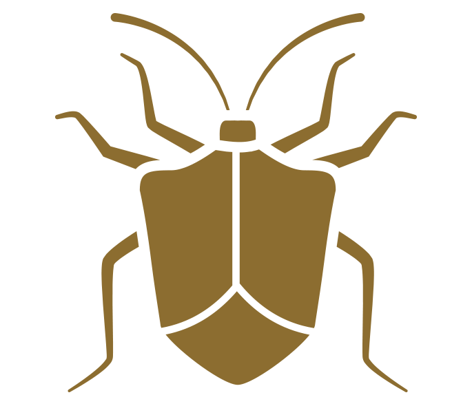 Stink Bug Control