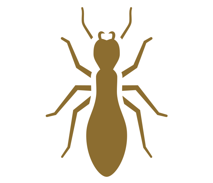 Termite Control