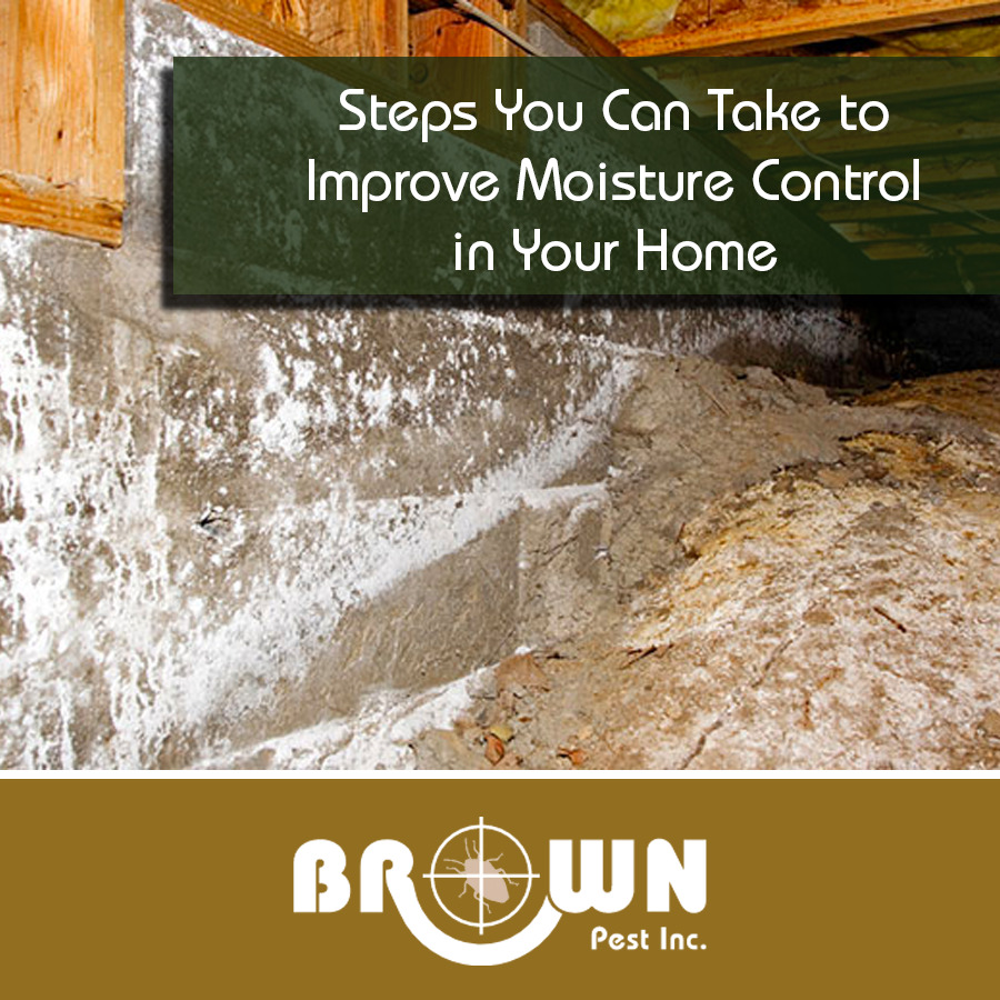 Steps You Can Take to Improve Moisture Control in Your Home